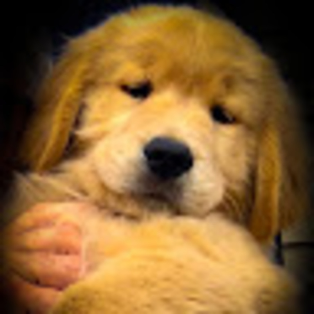 Meet your Posher, Johanna